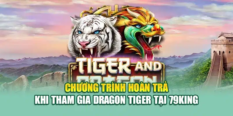 Chương trình hoàn trả khi tham gia Dragon Tiger tại 79King
