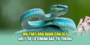 Mơ Thấy Rắn Đánh Con Gì? Gợi Ý Số Lô Chuẩn Xác Từ 79king