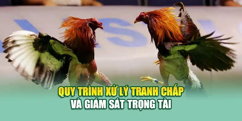 Quy trình xử lý tranh chấp và giám sát trọng tài