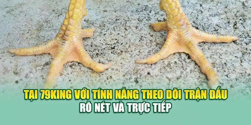 Tại 79King với tính năng theo dõi trận đấu rõ nét và trực tiếp